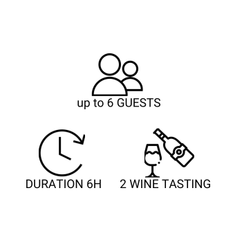 All Day Tour of Porto All Day Tour Porto